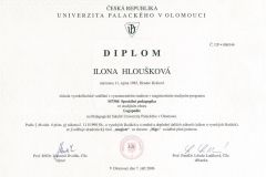 diplomVS